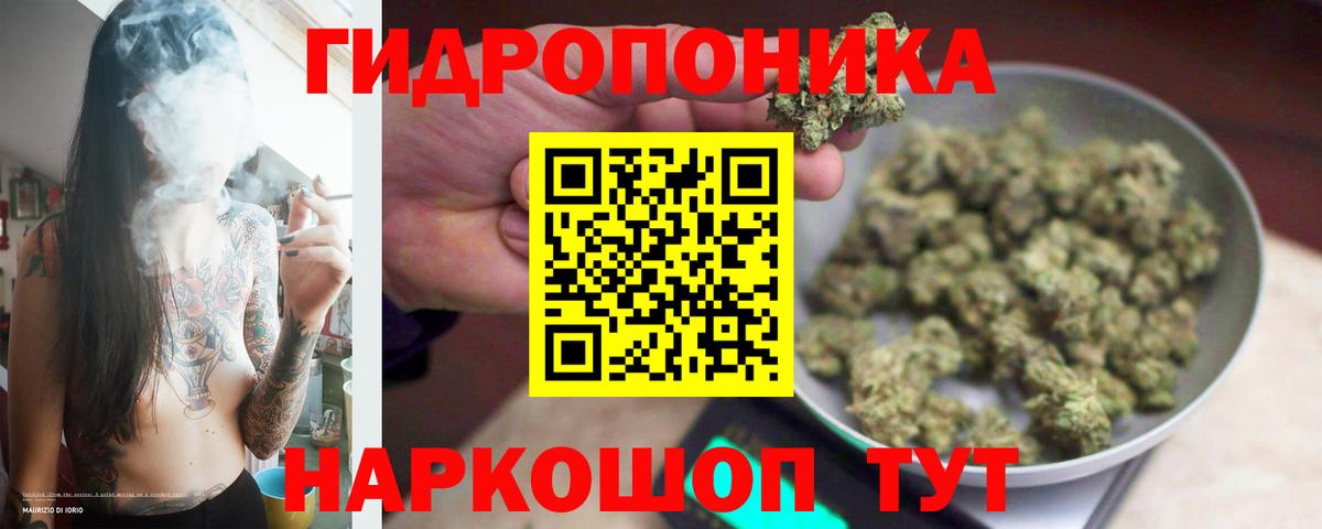 Каннабис Ganja Лабытнанги